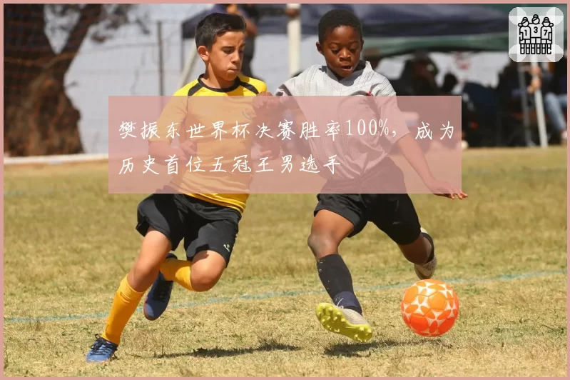 樊振东世界杯决赛胜率100%，成为历史首位五冠王男选手