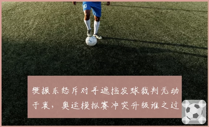 樊振东怒斥对手遮挡发球裁判无动于衷，奥运模拟赛冲突升级谁之过？
